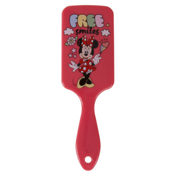 BRUSHES RECTANGULAR MINNIE