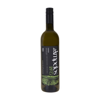 Kerner 2025 late harvest 0,75 l 13%