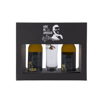 Falco Bier Alk. 4,9% Vol. 2x0,33l + Glas