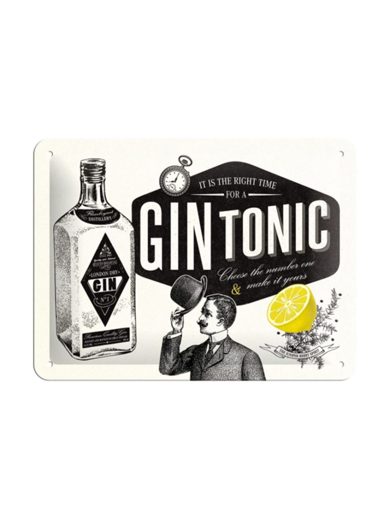Blechschild 15x20 cm Gin Tonic 