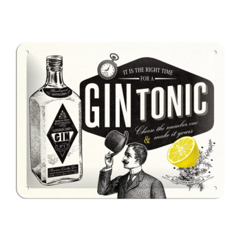 Blechschild 15x20 cm Gin Tonic 