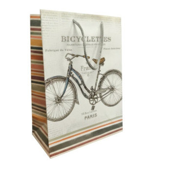 Dárková taška STANDARD T5 23x32cm