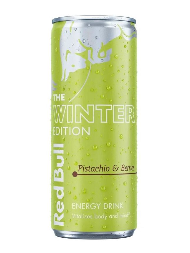 Red Bull Winter 26/27 0,25l tin