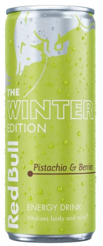 Red Bull Winter 26/27 0,25l tin