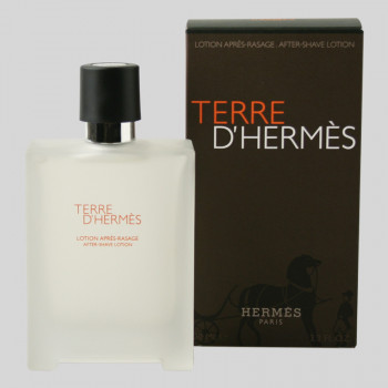 Hermes Terre d'Hermes AS 100ml - 1