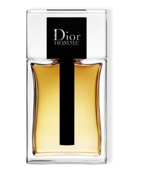 Dior Homme EdT 100ml - 1